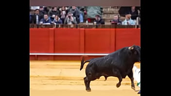 Sexo duro y rico Sexo duro y rico