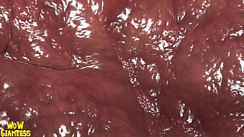 World of warcraft elf vore