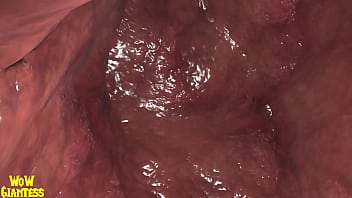 World of warcraft elf vore