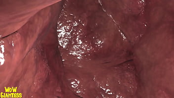 World of warcraft elf vore