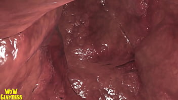 World of warcraft elf vore