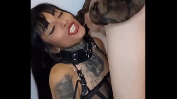 Update #1 2024 12 05t03 29 55 000z