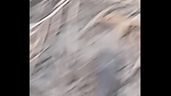 Peixe dano capa de deserte enquanto faz emote