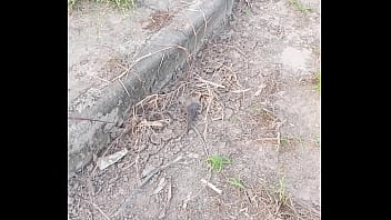 Peixe dano capa de deserte enquanto faz emote