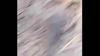 Peixe dano capa de deserte enquanto faz emote