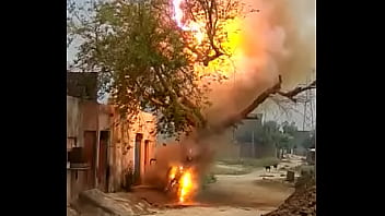 Vid 20170723 Wa0003 thumbnail