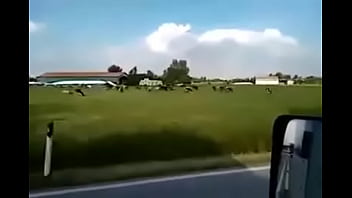 Busty girl get drilled by monster cock in a cow farm