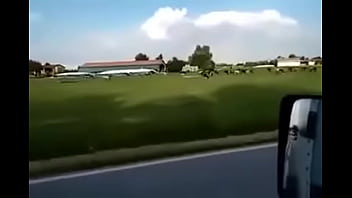 Busty girl get drilled by monster cock in a cow farm