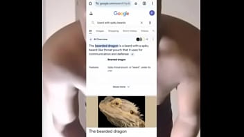 Other colors these scorpio zodiac animals show up in 7