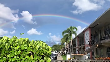 Sunny Day Outside thumbnail