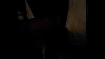 Amateur ebony sucking dick