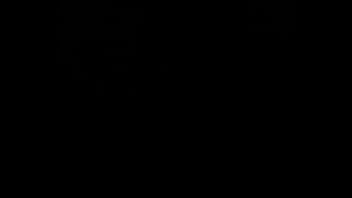 Amateur ebony sucking dick