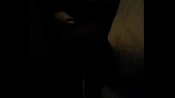 Amateur ebony sucking dick