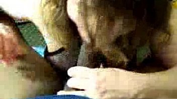 Mature white wife sucks her black bf's cock