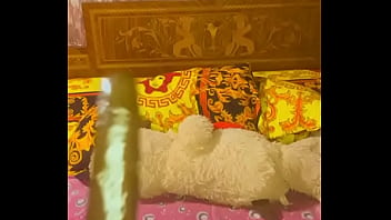 Nigarchrist Update #1158 Vid 20250516 141029 May 16 2025 thumbnail