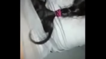 Banging my girlfriend