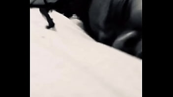 Kiabandz moaning on dick