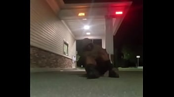 More videos that have the song 20 for sex i created for free in them that reminds me of some things i don't do all the time 5