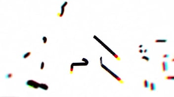 Risky public beack itzchoochietimeshoot by caribbean hub danefreecss