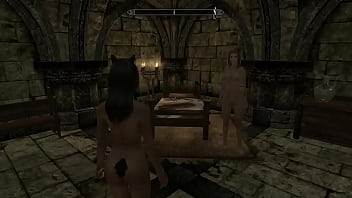 Skyrim mods