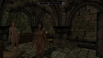 Skyrim mods