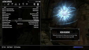 Skyrim mods
