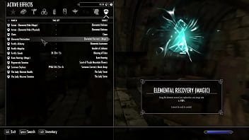 Skyrim mods