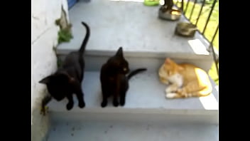 Видео для верификации