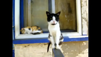 Видео для верификации