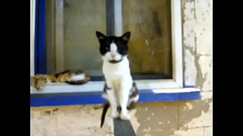 Видео для верификации