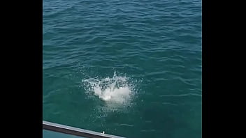 Pour une fois je spoil la fin d'une vidéo note nos sauts en commentaire dc'était avec sexymarghotx toniohot19 ulagtv