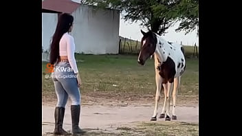 Brasil thumbnail