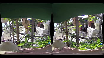 Milfvr peeping tom ft pristine edge