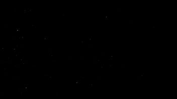 Addison craves for bbc and loves drinking piss