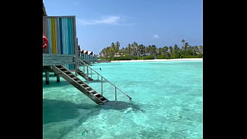 They do it in public everyone could see lenushkadoll