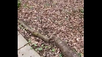 Some right weirdos about