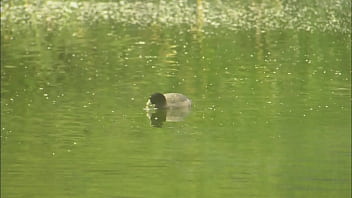 Tia layne fucks romana ryder with a glass dildo