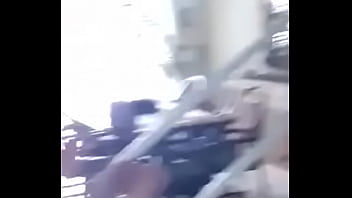 Vítor puto pássaro