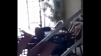 Vítor puto pássaro