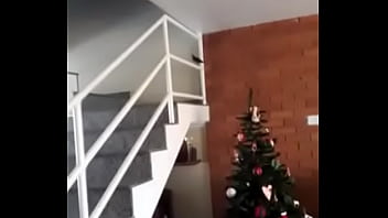 Vítor puto pássaro