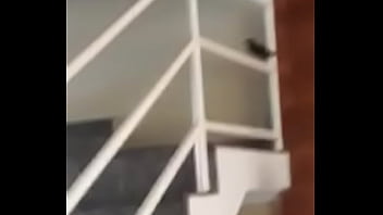 Vítor puto pássaro