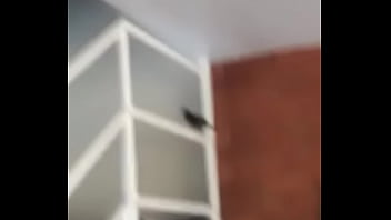 Vítor puto pássaro