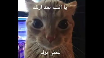 خابي بزك يا مره يا شرموطه ماوماوماو