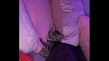 14vvs why are you gay prod royalansem & toren berios