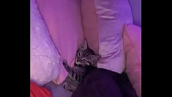 14vvs Why Are You Gay Prod Royalansem & Toren Berios thumbnail