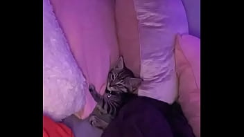 14vvs Why Are You Gay Prod Royalansem & Toren Berios thumbnail