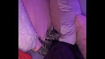 14vvs why are you gay prod royalansem & toren berios