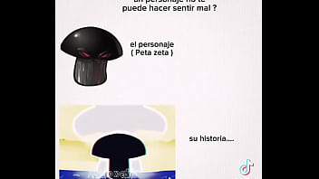 Petaseta historia triste