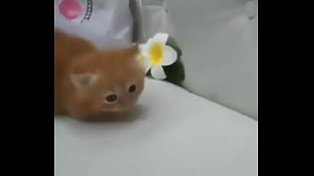 Soy muy linda y guapa estoy cachondisima