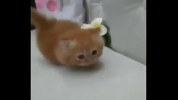 Soy muy linda y guapa estoy cachondisima